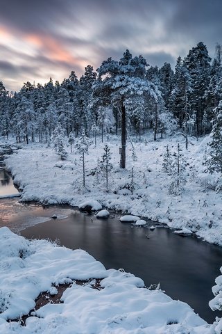 Обои река, природа, зима, river, nature, winter разрешение 1951x1367 Загрузить