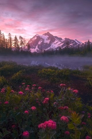 Обои цветы, природа, закат, flowers, nature, sunset разрешение 2048x1300 Загрузить