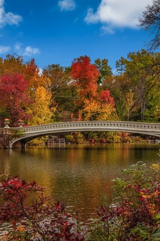 Обои деревья, мост, осень, сша, нью-йорк, центральный парк, trees, bridge, autumn, usa, new york, central park разрешение 3840x2400 Загрузить