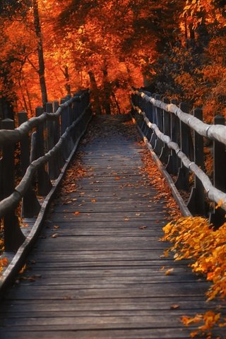 Обои мостик, листья, осень, the bridge, leaves, autumn разрешение 2880x1800 Загрузить