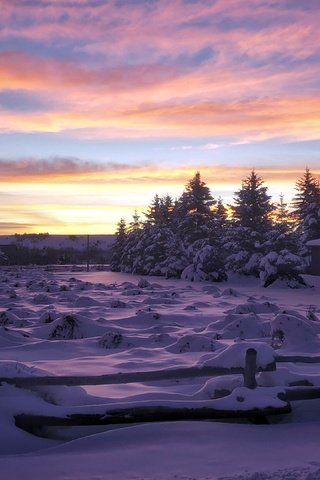 Обои снег, закат, зима, snow, sunset, winter разрешение 3840x2160 Загрузить