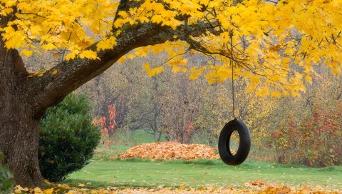 Обои листья, осень, колесо, leaves, autumn, wheel разрешение 1920x1080 Загрузить