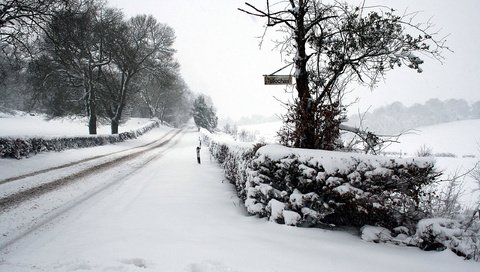 Обои дорога, снег, зима, road, snow, winter разрешение 2560x1600 Загрузить