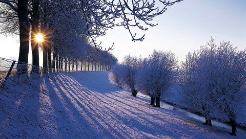 Обои деревья, снег, зима, иней, нидерланды, trees, snow, winter, frost, netherlands разрешение 1920x1200 Загрузить