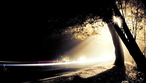 Обои свет, дорога, ночь, деревья, light, road, night, trees разрешение 1920x1050 Загрузить