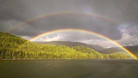 Обои облака, лес, радуга, водоем, clouds, forest, rainbow, pond разрешение 1920x1200 Загрузить