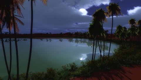 Обои ночь, озеро, луна, пальмы, оазис, night, lake, the moon, palm trees, oasis разрешение 1920x1200 Загрузить