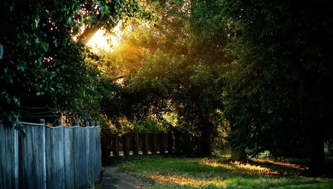 Обои свет, трава, солнце, забор, деверья, light, grass, the sun, the fence, devereaux разрешение 1920x1440 Загрузить