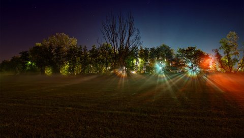 Обои свет, леса, ночь, деревья, огни, фото, лучи, поле, пейзажи, light, forest, night, trees, lights, photo, rays, field, landscapes разрешение 1920x1200 Загрузить