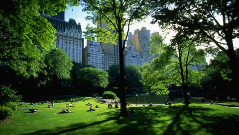 Обои парк, нью-йорк, отдых, park, new york, stay разрешение 2919x1967 Загрузить