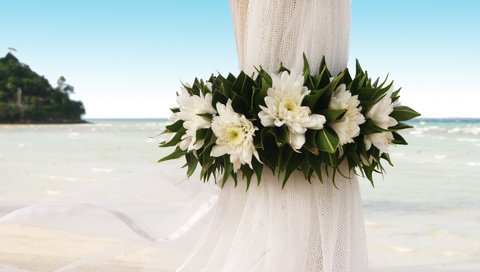 Обои цветы, берег, океан, свадьба, занавеска, событие, flowers, shore, the ocean, wedding, curtain, event разрешение 1920x1200 Загрузить
