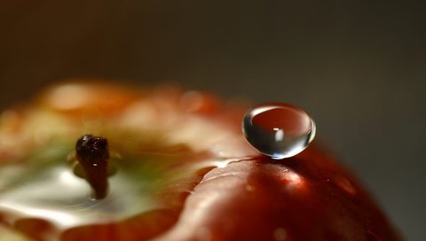 Обои вода, капля, фрукты, яблоко, крупным планом, water, drop, fruit, apple, closeup разрешение 1920x1200 Загрузить
