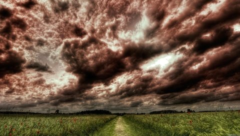 Обои небо, дорога, цветы, трава, деревья, тучи, поле, the sky, road, flowers, grass, trees, clouds, field разрешение 1920x1080 Загрузить