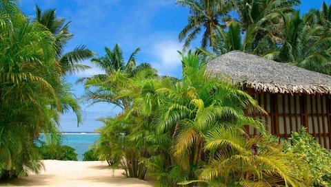 Обои пейзаж, пляж, пальмы, landscape, beach, palm trees разрешение 1920x1080 Загрузить