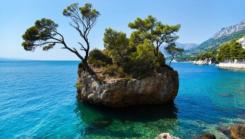 Обои деревья, море, остров, хорватия, trees, sea, island, croatia разрешение 1920x1200 Загрузить