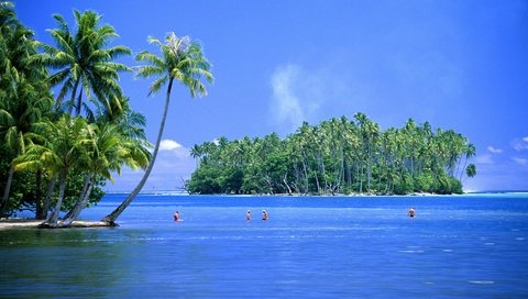 Обои пальмы, остров, тропики, palm trees, island, tropics разрешение 1920x1080 Загрузить