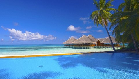 Обои пальмы, бассейн, бунгало, тропики, мальдивы, palm trees, pool, bungalow, tropics, the maldives разрешение 1920x1080 Загрузить