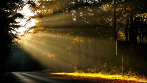 Обои дорога, деревья, солнце, природа, лес, лучи, утро, рассвет, road, trees, the sun, nature, forest, rays, morning, dawn разрешение 2560x1600 Загрузить