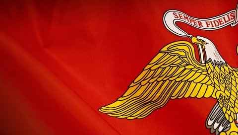 Обои желтый, красный, орел, флаг, yellow, red, eagle, flag разрешение 2560x1600 Загрузить