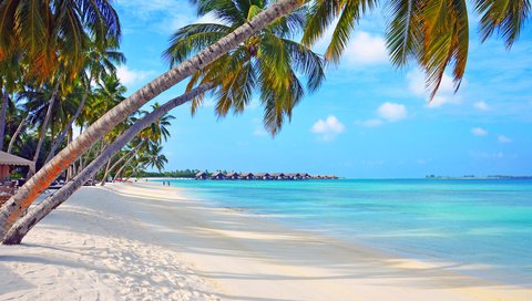 Обои море, пляж, отдых, остров, бунгало, тропики, мальдивы, sea, beach, stay, island, bungalow, tropics, the maldives разрешение 4894x3212 Загрузить