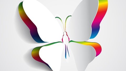 Обои цвета, фон, бабочка, крылья, 3д, color, background, butterfly, wings, 3d разрешение 2995x2142 Загрузить