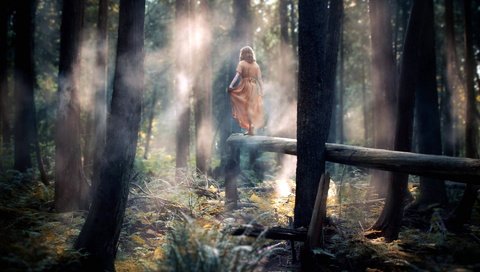 Обои лес, девушка, настроение, платье, туман, forest, girl, mood, dress, fog разрешение 1920x1200 Загрузить