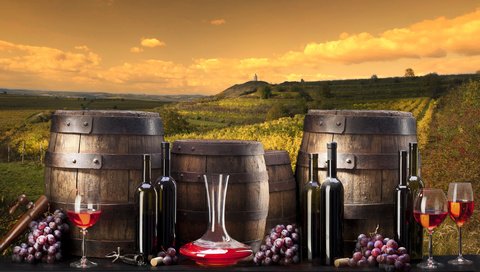 Обои виноград, вино, бокалы, бутылки, бочки, виноградники, grapes, wine, glasses, bottle, barrels, the vineyards разрешение 4992x3328 Загрузить
