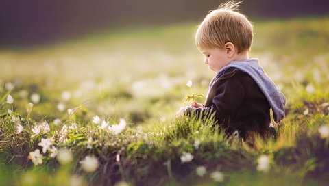 Обои цветы, трава, лето, дети, ребенок, мальчик, flowers, grass, summer, children, child, boy разрешение 1920x1280 Загрузить