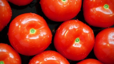 Обои капли, овощи, помидоры, томат, drops, vegetables, tomatoes, tomato разрешение 2560x1440 Загрузить