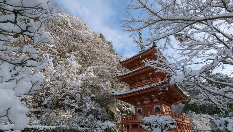 Обои деревья, mimuroto-ji temple, снег, храм, зима, ветки, пагода, япония, киото, trees, snow, temple, winter, branches, pagoda, japan, kyoto разрешение 2880x1920 Загрузить