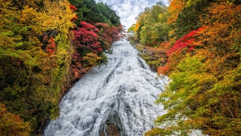 Обои деревья, пейзаж, водопад, осень, япония, yudaki waterfall, trees, landscape, waterfall, autumn, japan разрешение 2880x1920 Загрузить