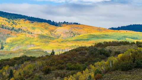 Обои деревья, горы, холмы, пейзаж, осень, trees, mountains, hills, landscape, autumn разрешение 1920x1280 Загрузить