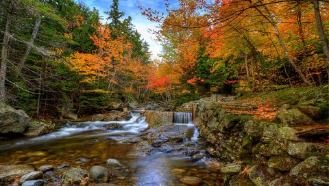 Обои небо, поток, деревья, река, камни, лес, ручей, водопад, осень, the sky, trees, river, stones, forest, stream, waterfall, autumn разрешение 2980x1980 Загрузить