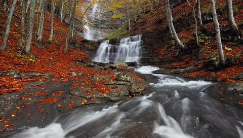 Обои река, природа, лес, водопад, осень, river, nature, forest, waterfall, autumn разрешение 1998x1334 Загрузить