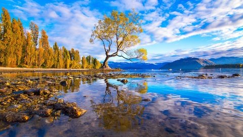 Обои вода, горы, дерево, камни, лес, отражение, оезро, water, mountains, tree, stones, forest, reflection, outro разрешение 1920x1087 Загрузить