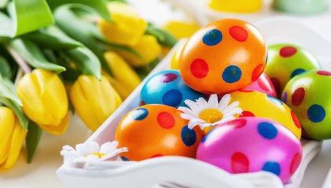 Обои разноцветные, весна, тюльпаны, пасха, яйца, тульпаны, зеленые пасхальные, colorful, spring, tulips, easter, eggs разрешение 5616x3744 Загрузить