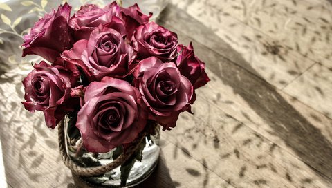 Обои цветы, фон, розы, букет, flowers, background, roses, bouquet разрешение 5184x3456 Загрузить