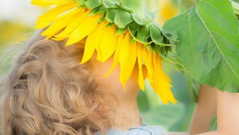 Обои цветы, природа, дети, подсолнух, девочка, flowers, nature, children, sunflower, girl разрешение 1920x1707 Загрузить