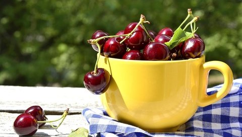 Обои черешня, ягоды, вишня, чашка, жёлтая, cherry, berries, cup, yellow разрешение 2400x1590 Загрузить