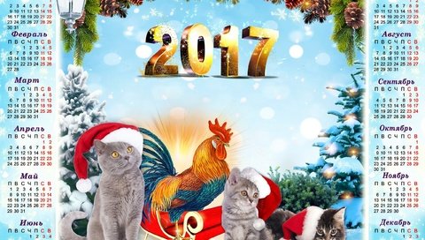 Обои фон, голубой, серые, ели, котята, год, календарь, 2017, год петуха, the year of the rooster, background, blue, grey, ate, kittens, year, calendar разрешение 2560x1600 Загрузить