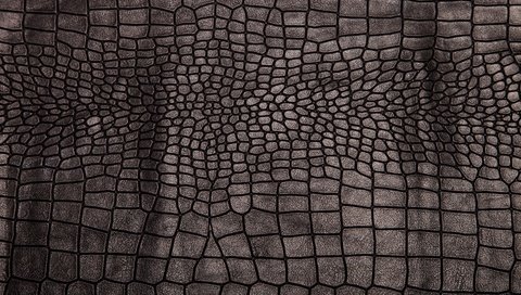 Обои текстура, фон, черный, кожа, блака, етекстура, crocodile skin, кожа крокодила, texture, background, black, leather, crocodile leather разрешение 5616x3744 Загрузить