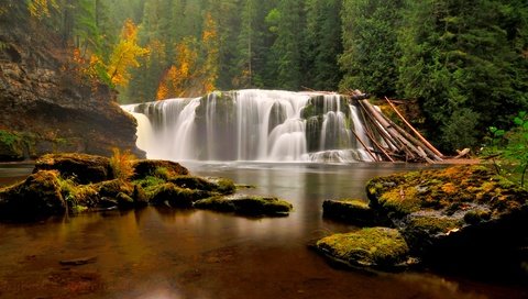Обои лес, водопад, осень, forest, waterfall, autumn разрешение 2800x1600 Загрузить