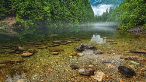 Обои деревья, вода, река, природа, камни, пейзаж, trees, water, river, nature, stones, landscape разрешение 1920x1080 Загрузить