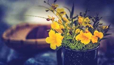 Обои цветы, кружка, желтые, букетик, flowers, mug, yellow, a bunch разрешение 2048x1365 Загрузить