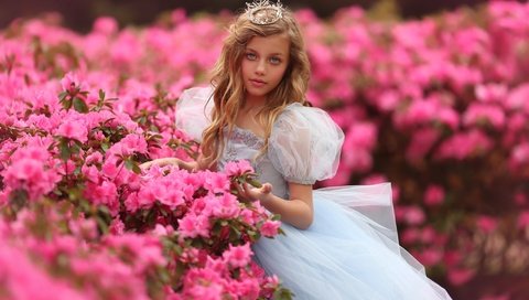 Обои цветы, корона, природа, принцесса, девушка, платье, кусты, взгляд, девочка, волосы, наряд, outfit, flowers, crown, nature, princess, girl, dress, the bushes, look, hair разрешение 2048x1365 Загрузить