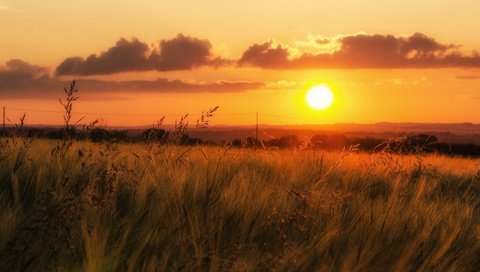 Обои трава, облака, солнце, закат, поле, горизонт, долина, оранжевое небо, grass, clouds, the sun, sunset, field, horizon, valley, orange sky разрешение 2048x1137 Загрузить