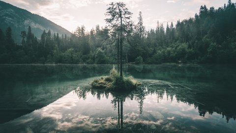 Обои небо, озеро, дерево, лес, отражение, ветки, the sky, lake, tree, forest, reflection, branches разрешение 2048x1365 Загрузить