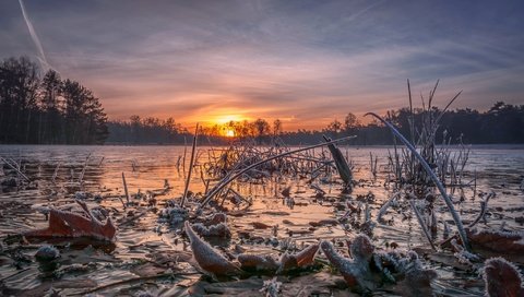 Обои небо, деревья, озеро, солнце, закат, иней, the sky, trees, lake, the sun, sunset, frost разрешение 2048x1238 Загрузить