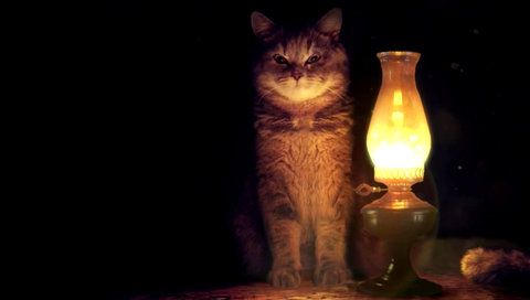 Обои свет, фон, кот, кошка, взгляд, лампа, light, background, cat, look, lamp разрешение 1920x1080 Загрузить