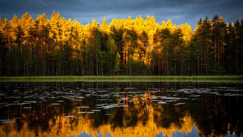 Обои небо, деревья, озеро, природа, лес, отражение, осень, the sky, trees, lake, nature, forest, reflection, autumn разрешение 4188x2781 Загрузить